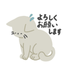 シンプル敬語ねこ（個別スタンプ：12）