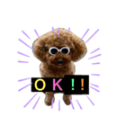 coco スタンプ①（個別スタンプ：1）