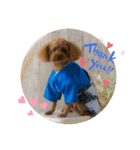 coco スタンプ①（個別スタンプ：6）