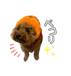 coco スタンプ①（個別スタンプ：8）