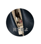 愛する家族たちスタンプ（個別スタンプ：4）