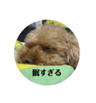 愛する家族たちスタンプ（個別スタンプ：5）