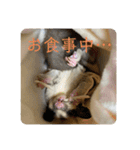 愛する家族たちスタンプ（個別スタンプ：10）