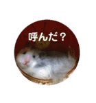 愛する家族たちスタンプ（個別スタンプ：12）