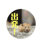 愛する家族たちスタンプ（個別スタンプ：15）