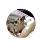 愛する家族たちスタンプ（個別スタンプ：16）