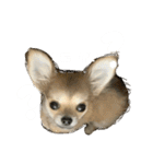 viviのstamp 2（個別スタンプ：4）