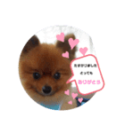 楽のあれこれ5（個別スタンプ：1）