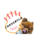 楽のあれこれ5（個別スタンプ：3）