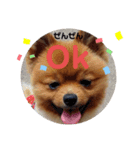 楽のあれこれ5（個別スタンプ：4）