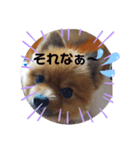 楽のあれこれ5（個別スタンプ：5）