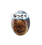 楽のあれこれ5（個別スタンプ：6）