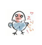 インコだyo（個別スタンプ：21）