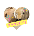 くまじろうの一言（個別スタンプ：2）