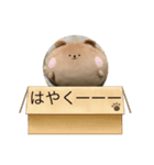 くまじろうの一言（個別スタンプ：6）
