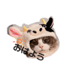 トト君メロちゃんスタンプ①（個別スタンプ：1）