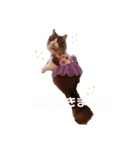 トト君メロちゃんスタンプ①（個別スタンプ：3）