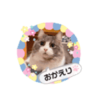 トト君メロちゃんスタンプ①（個別スタンプ：5）