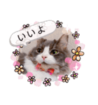 トト君メロちゃんスタンプ①（個別スタンプ：6）