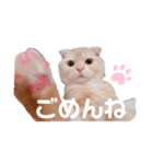 トト君メロちゃんスタンプ①（個別スタンプ：14）