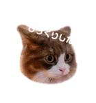 トト君メロちゃんスタンプ①（個別スタンプ：20）