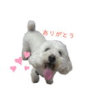 もっぴーとぷっち（個別スタンプ：4）