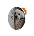 もっぴーとぷっち（個別スタンプ：10）