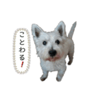 もっぴーとぷっち（個別スタンプ：14）