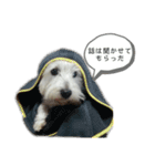 もっぴーとぷっち（個別スタンプ：15）