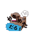 トイプー＆ビジョン☆日常スタンプ〜2〜（個別スタンプ：14）