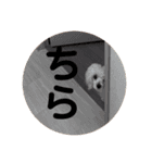 ハル＆モチャ-3（個別スタンプ：22）