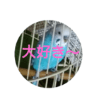 キュートなぷーちゃん（個別スタンプ：5）