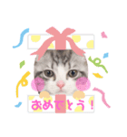 ノア様スタンプ（個別スタンプ：8）