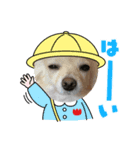 こゆきの仲間たち（個別スタンプ：1）