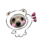 こゆきの仲間たち（個別スタンプ：3）
