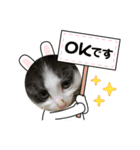 こゆきの仲間たち（個別スタンプ：4）