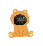 こゆきの仲間たち（個別スタンプ：5）
