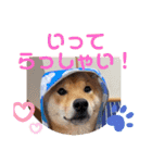 ふわふわカンタのすたんぷ（個別スタンプ：3）