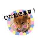 ふわふわカンタのすたんぷ（個別スタンプ：4）