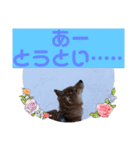 ふわふわカンタのすたんぷ（個別スタンプ：7）