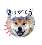 ふわふわカンタのすたんぷ（個別スタンプ：9）