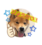 ふわふわカンタのすたんぷ（個別スタンプ：12）