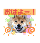 ふわふわカンタのすたんぷ（個別スタンプ：16）