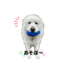 yurusutaanimal2（個別スタンプ：3）