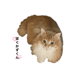 yurusutaanimal2（個別スタンプ：7）