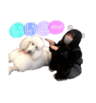 るいるいだよね❔2（個別スタンプ：3）