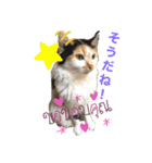 にゃんneko╹◡╹（個別スタンプ：6）