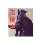 にゃんneko╹◡╹（個別スタンプ：7）