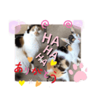にゃんneko╹◡╹（個別スタンプ：8）