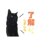 黒猫のえーちゃん♥パート2（個別スタンプ：4）
